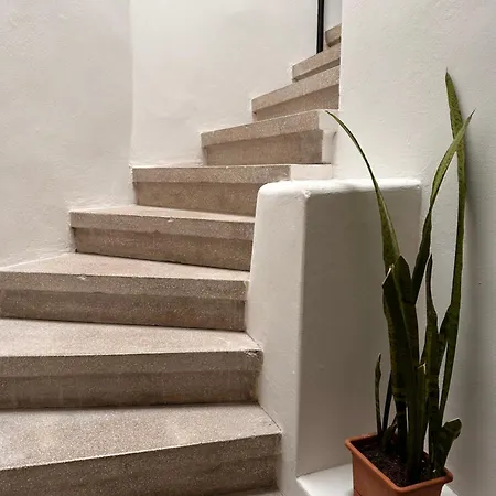 Antonio Apartamento